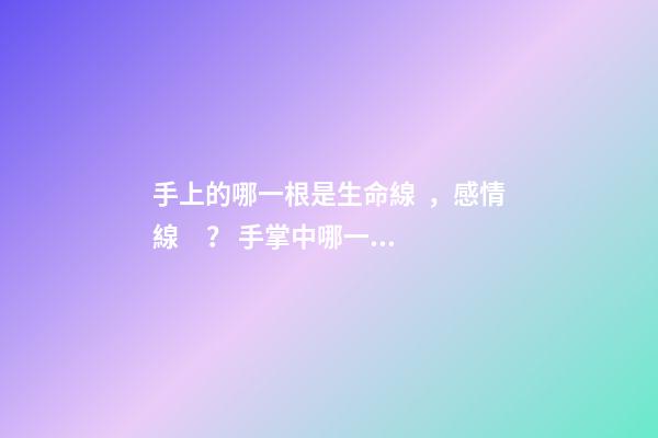 手上的哪一根是生命線，感情線？ 手掌中哪一根是感情線，哪一根是生命線？-第1張-觀點-玄機派